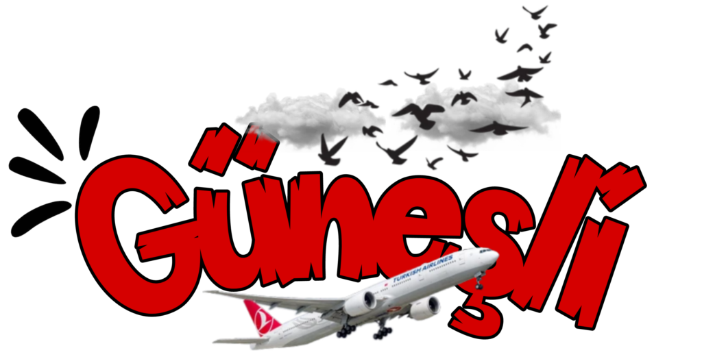 اكاديمية جونيشلي - Güneşli Academy