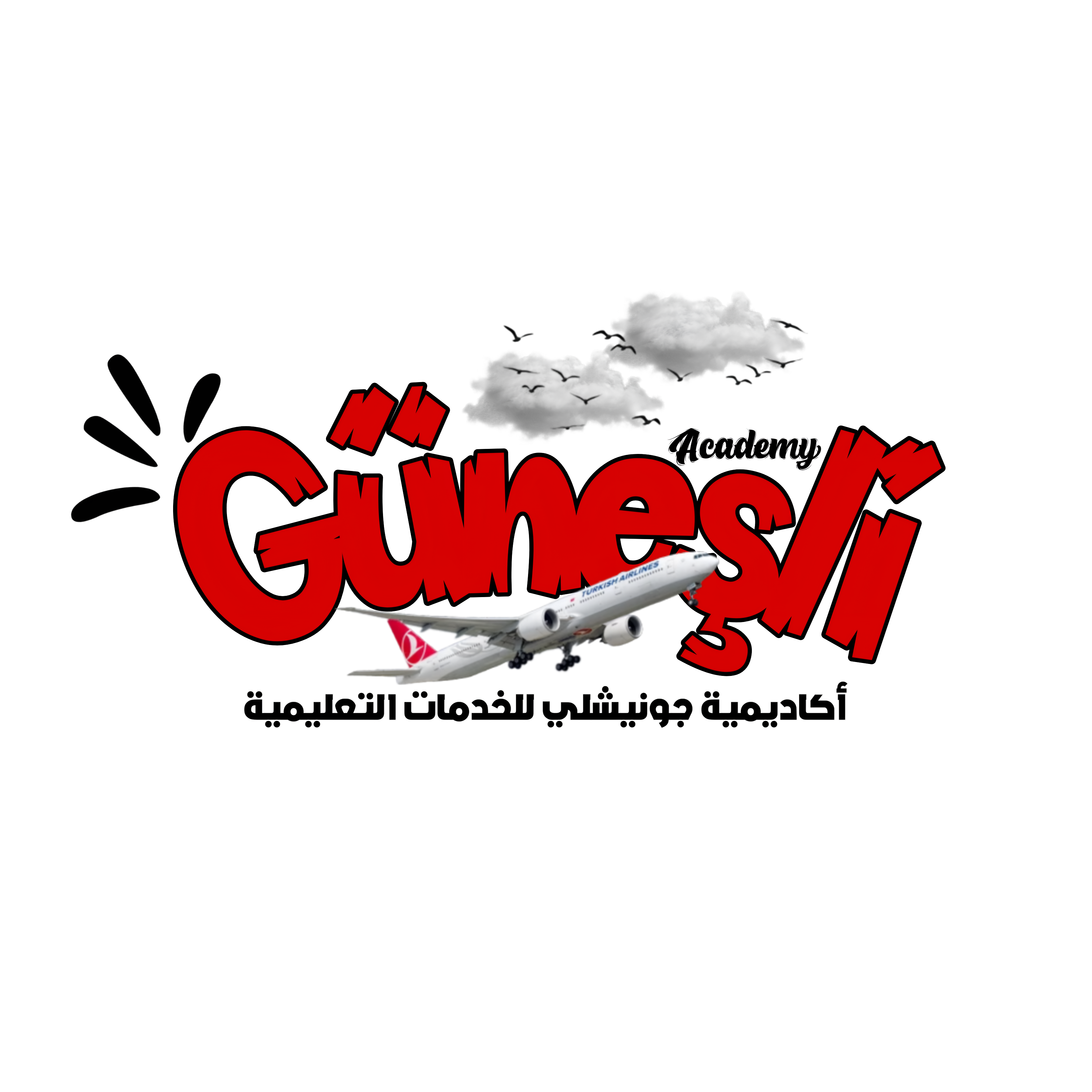 اكاديمية جونيشلي - Güneşli Academy