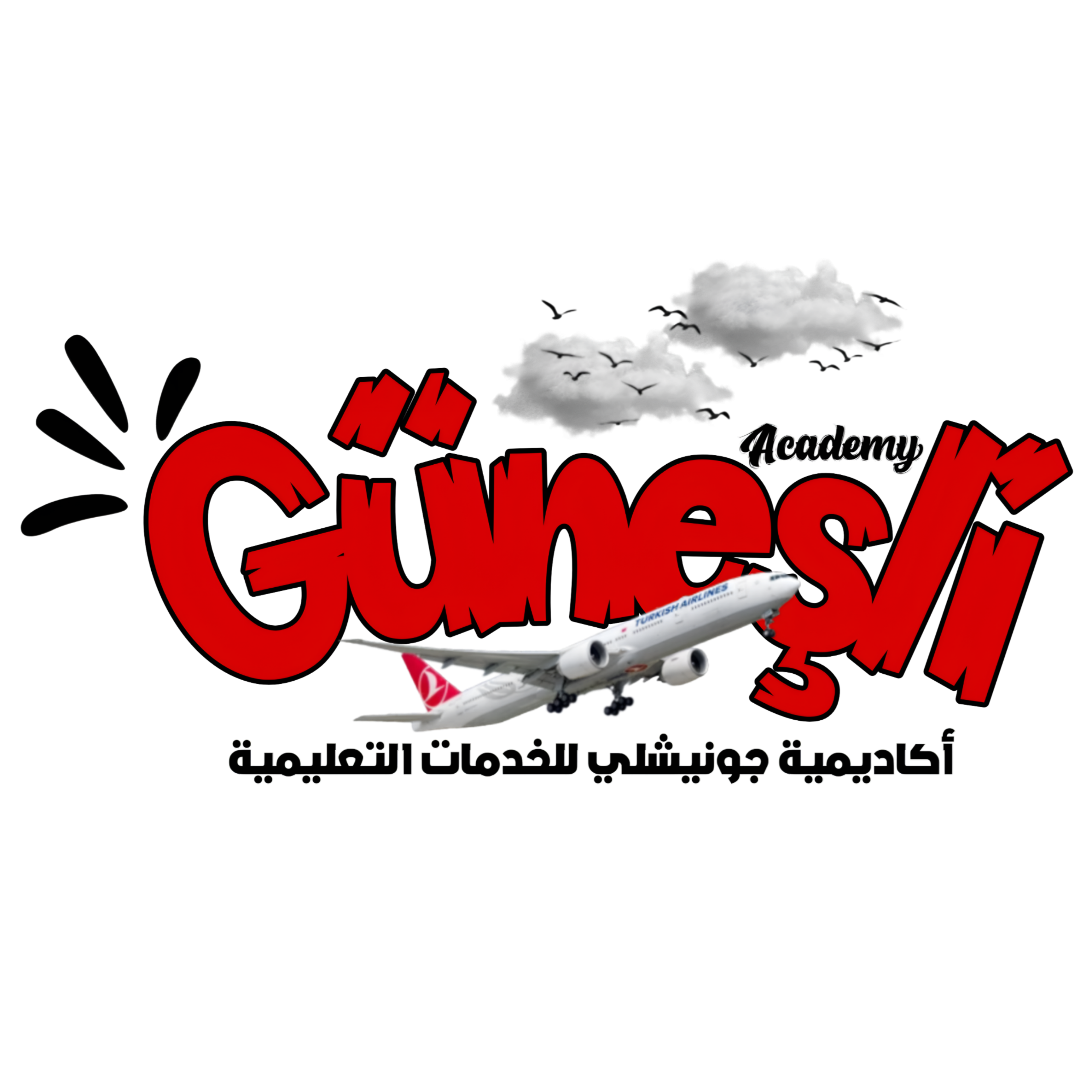 أكاديمية جونيشلي | Güneşli Akademi